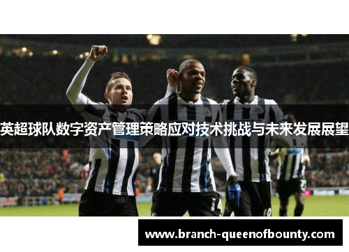 英超球队数字资产管理策略应对技术挑战与未来发展展望