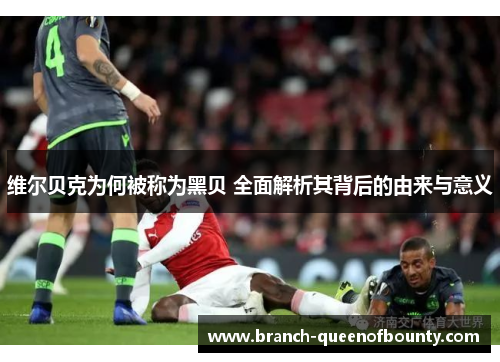 维尔贝克为何被称为黑贝 全面解析其背后的由来与意义