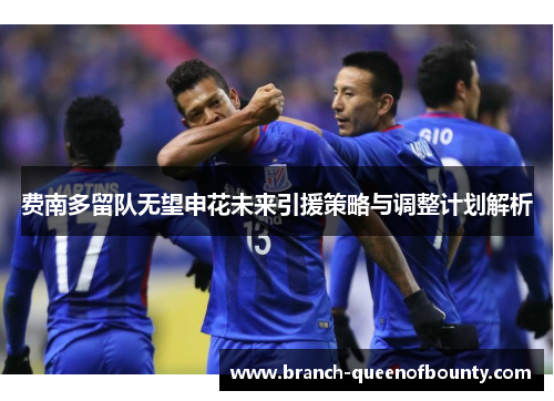 费南多留队无望申花未来引援策略与调整计划解析