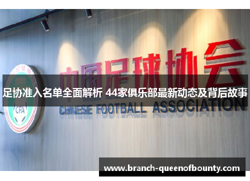 足协准入名单全面解析 44家俱乐部最新动态及背后故事