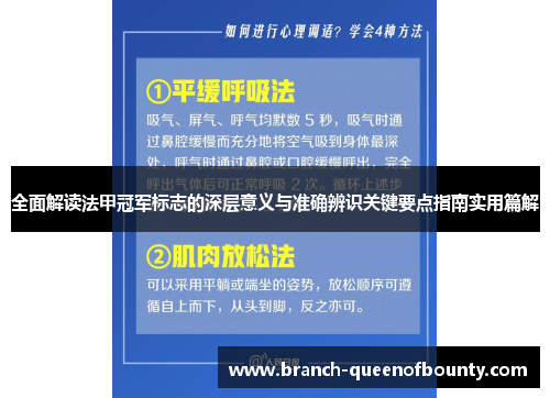 全面解读法甲冠军标志的深层意义与准确辨识关键要点指南实用篇解