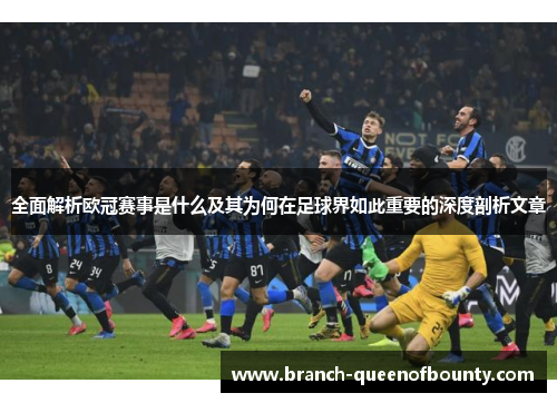 全面解析欧冠赛事是什么及其为何在足球界如此重要的深度剖析文章