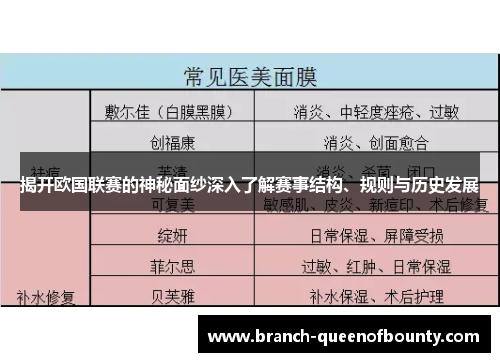 揭开欧国联赛的神秘面纱深入了解赛事结构、规则与历史发展