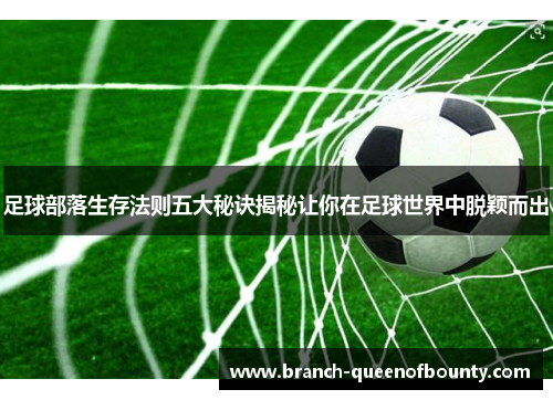 足球部落生存法则五大秘诀揭秘让你在足球世界中脱颖而出