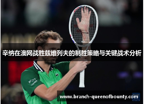 辛纳在澳网战胜兹维列夫的制胜策略与关键战术分析