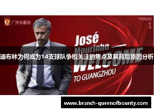 迪布林为何成为14支球队争相关注的焦点及其背后原因分析