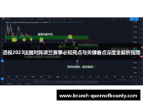 透视2023法国对阵波兰赛事必知亮点与关键看点深度全解析指南