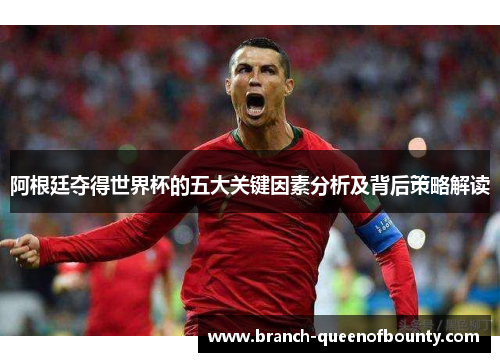 阿根廷夺得世界杯的五大关键因素分析及背后策略解读