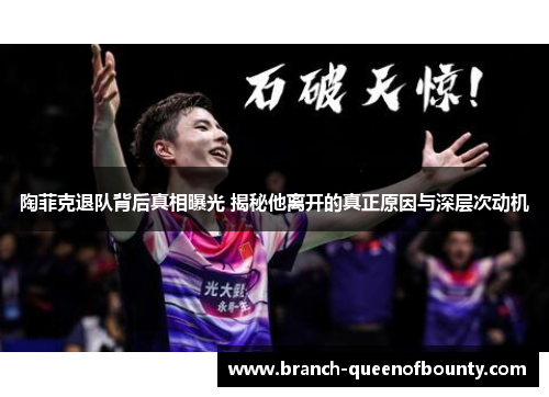 陶菲克退队背后真相曝光 揭秘他离开的真正原因与深层次动机