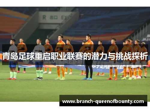 青岛足球重启职业联赛的潜力与挑战探析
