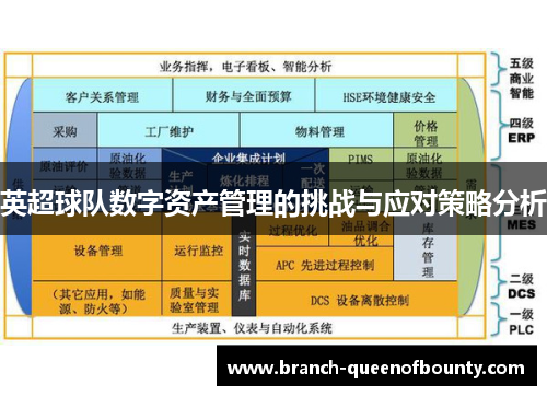 英超球队数字资产管理的挑战与应对策略分析