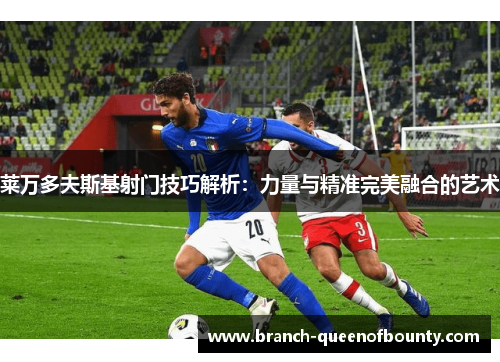 莱万多夫斯基射门技巧解析：力量与精准完美融合的艺术