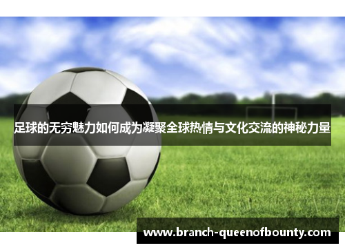足球的无穷魅力如何成为凝聚全球热情与文化交流的神秘力量