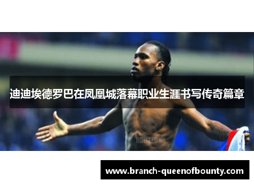 迪迪埃德罗巴在凤凰城落幕职业生涯书写传奇篇章