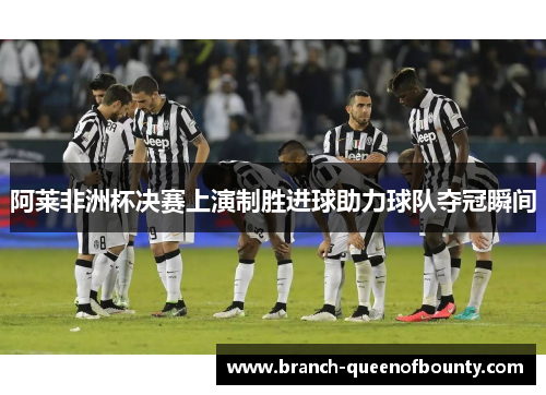 阿莱非洲杯决赛上演制胜进球助力球队夺冠瞬间