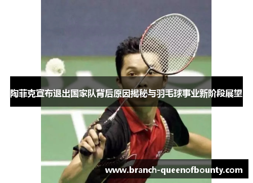 陶菲克宣布退出国家队背后原因揭秘与羽毛球事业新阶段展望