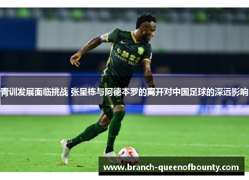 青训发展面临挑战 张呈栋与阿德本罗的离开对中国足球的深远影响