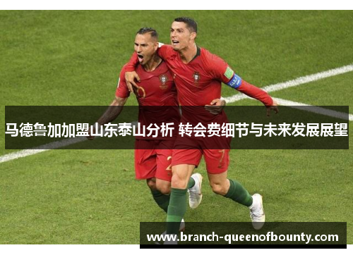 马德鲁加加盟山东泰山分析 转会费细节与未来发展展望