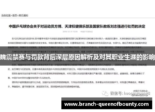 魏震禁赛与罚款背后深层原因解析及对其职业生涯的影响