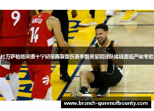 杜万萨帕塔突遭十字韧带撕裂重伤赛季前景蒙阴球队锋线面临严峻考验
