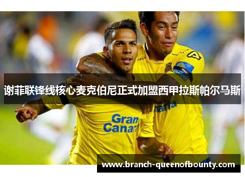 谢菲联锋线核心麦克伯尼正式加盟西甲拉斯帕尔马斯